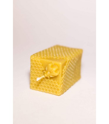 Plaster miodu z pszczołą - świeczka z wosku pszczelego