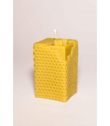 Plaster miodu z pszczołą - świeczka z wosku pszczelego