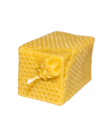 Plaster miodu z pszczołą - świeczka z wosku pszczelego