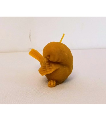 Mały ptaszek - Świeczka z wosku pszczelego