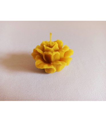 Róża mała - Świeca z wosku pszczelego