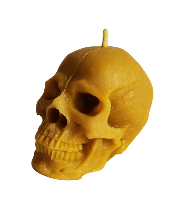 Czaszka - Świeczka z wosku pszczelego